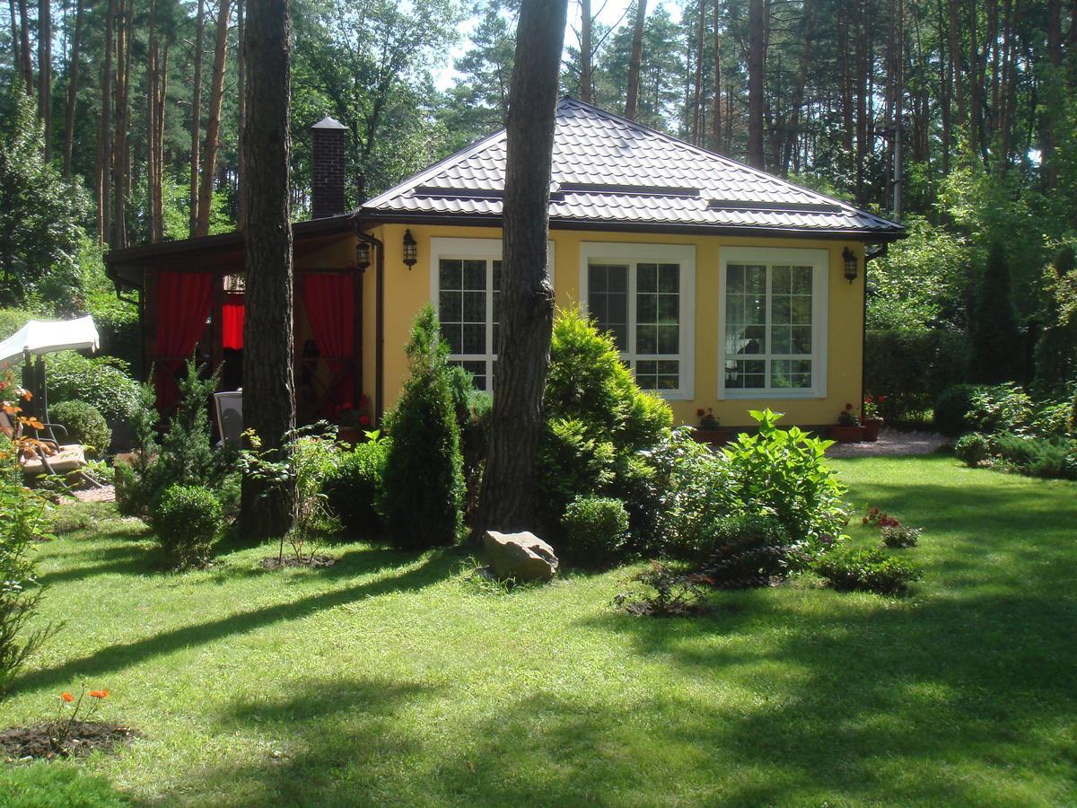 Maison d'hôtes Domik V Lesy à Lyutezh Extérieur photo