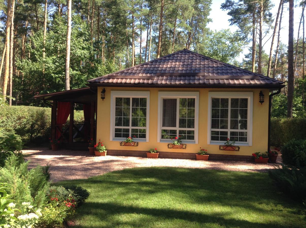 Maison d'hôtes Domik V Lesy à Lyutezh Extérieur photo